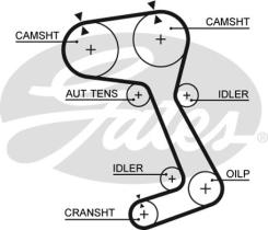 GATES 5364XS - CORREA DE DISTRIB. POWERGRIP 8597