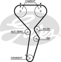 GATES 5585XS - CORREA DE DISTRIBUCION
