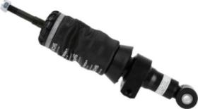 Sachs 115731 - SUPERTOURING IVECO (CAB) EURO-TECH