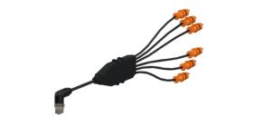 WABCO 4498160300 - Cable con conector hembra
