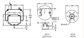 Firestone W01M588477