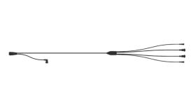 WABCO 4494420100 - Cable con conector hembra