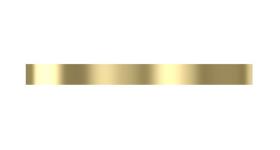 WABCO 8930300404 - Anillo