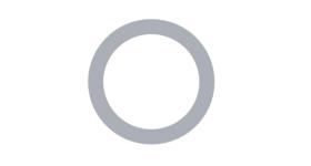WABCO 8930300704 - Arandela