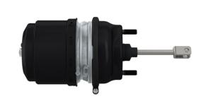 WABCO 9254922210 - TRISTOP CYLINDER CAM G 30/30