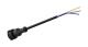 WABCO 4494130400 - Cable con conector hembra