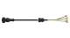 WABCO 4494220300 - Cable con conector hembra