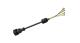 WABCO 4494220300 - Cable con conector hembra
