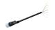 WABCO 4494370600 - Cable con conector hembra