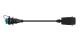 WABCO 4496150600 - Cable con conector hembra