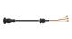 WABCO 4497321000 - Cable con conector hembra
