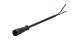 WABCO 4497620800 - Cable con conector hembra