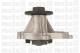 Metelli 240203 - Bomba de agua NISSAN