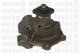 Metelli 240323 - Bomba de agua Ford