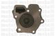 Metelli 240323 - Bomba de agua Ford