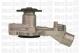 Metelli 240509 - Bomba de agua Ford