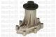 Metelli 240583 - Bomba de agua