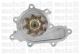 Metelli 240823 - Bomba de agua