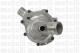 Metelli 240860 - Bomba de agua