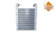 NRF 30221 - INTERCOOLER RVI PREMIUN 370,18D