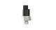 WABCO 100250560 - Interruptor