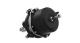 WABCO 100251580 - Muelle