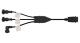 WABCO 4493720300 - Cable con conector hembra