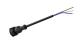 WABCO 4494130500 - Cable con conector hembra