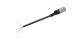 WABCO 4494370200 - Cable con conector hembra