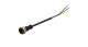 WABCO 4495111500 - Cable con conector hembra