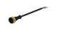 WABCO 4495210100 - Cable con conector hembra