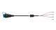WABCO 4496010600 - Cable con conector hembra