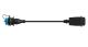 WABCO 4496150300 - Cable con conector hembra