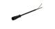 WABCO 4497620200 - Cable con conector hembra