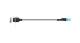 WABCO 4496060300 - Cable con conector hembra