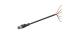 WABCO 4498381500 - Cable con conector hembra
