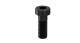 WABCO 8101280364 - Tornillo