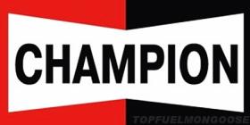 Escobillas limpiaparabrisas EasyVision  Champion