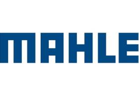 MAHLE Termocontrol